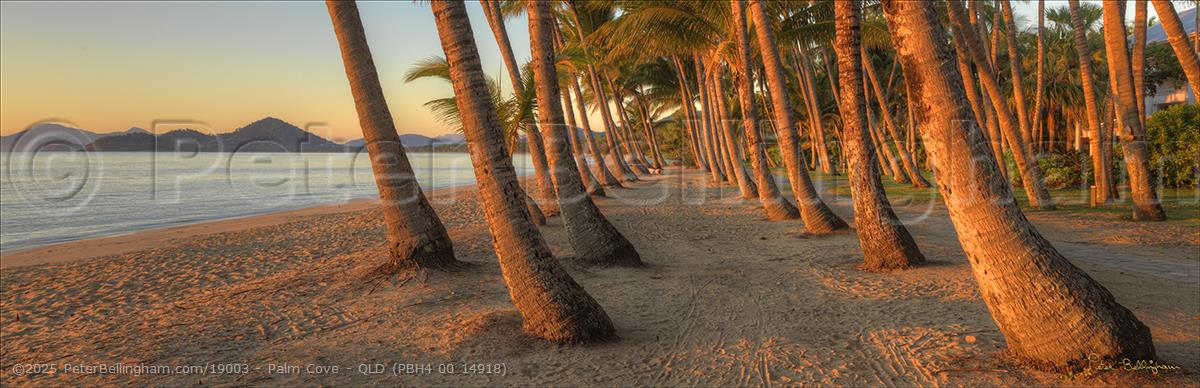 Peter Bellingham Photography Palm Cove - QLD (PBH4 00 14918)
